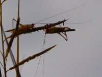 09-02-14-Nanjemoy-1064