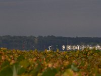 09-07-14-Piscataway-1594