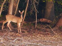 09-20-14-Triadelphia-2328