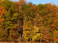 10-25-14-Rocky Gorge-3632