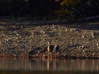 10-25-14-Rocky Gorge-3665