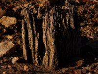 10-25-14-Rocky Gorge-3696