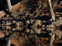 04-12-15-Rocky Gorge-21058