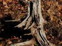 04-12-15-Rocky Gorge-21072