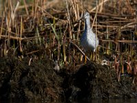 04-18-15-Nanjemoy-21502