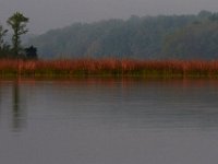 05-06-15-Nanjemoy