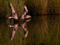 05-24-15-St Marys Lake-23738