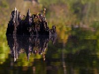 05-24-15-St Marys Lake-23754