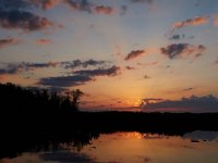 05-30-15-Mattawoman-23925