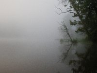 07-12-15-Shadding Reach-26979