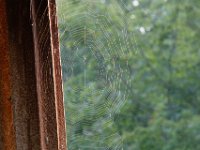 07-12-15-Shadding Reach-27051