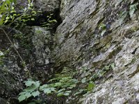 Poconos-July-2015-27741