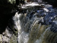 Poconos-July-2015-27789