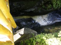 Poconos-July-2015-27794