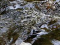 Poconos-July-2015-27799