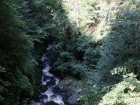 Poconos-July-2015-27828