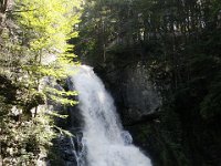 Poconos-July-2015-27832