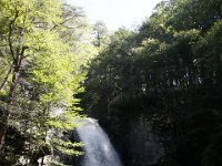 Poconos-July-2015-27836
