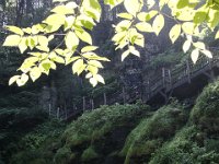 Poconos-July-2015-27853