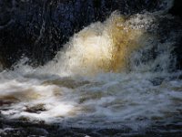 Poconos-July-2015-27904