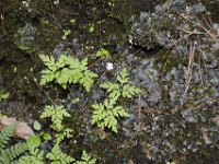 Poconos-July-2015-27916