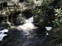 Poconos-July-2015-27924