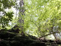 Poconos-July-2015-27951