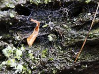 Poconos-July-2015-27952
