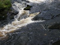 Poconos-July-2015-27962