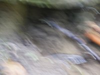 Poconos-July-2015-27985