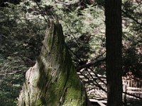 Poconos-July-2015-28016