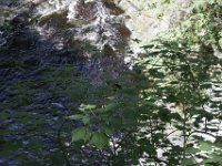 Poconos-July-2015-28045