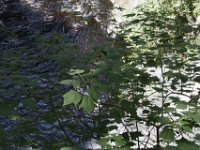 Poconos-July-2015-28046