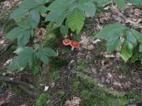 Poconos-July-2015-28110