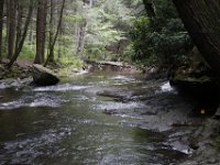 Poconos-July-2015-28173