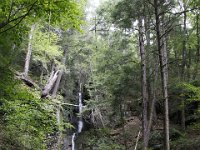 Poconos-July-2015-28214