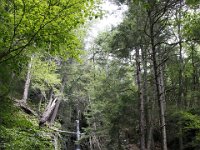 Poconos-July-2015-28215