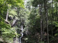 Poconos-July-2015-28217