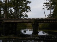 08-11-15-Alligator River-28893