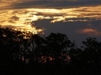 08-11-15-Alligator River-28927