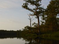 08-11-15-Alligator River-28987