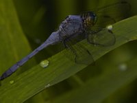 08-11-15-Alligator River-29020
