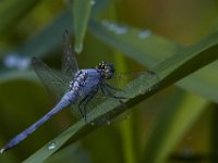 08-11-15-Alligator River-29064