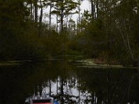 08-11-15-Alligator River-29114