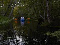 08-11-15-Alligator River-29126