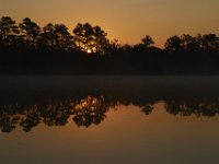 08-13-15-Alligator River-29305