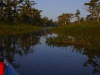 08-13-15-Alligator River-29517