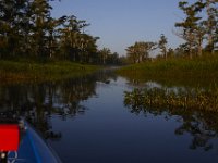 08-13-15-Alligator River-29518