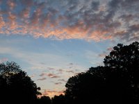 09-12-15-Tuckahoe-23063