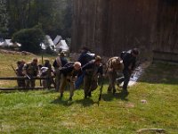 09-19-15-Civil War-23581